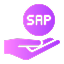 SAP Support and Maintenance